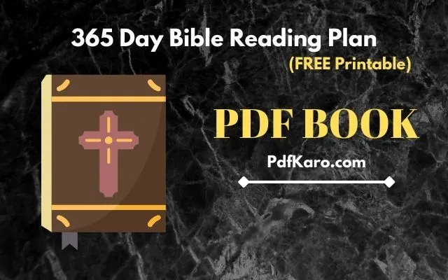 365 Day Bible Reading Plan PDF