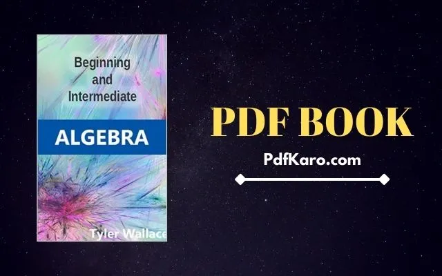 Beginning And Intermediate Algebra PDF